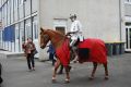 Orelans 8 mai 2014 (128).jpg